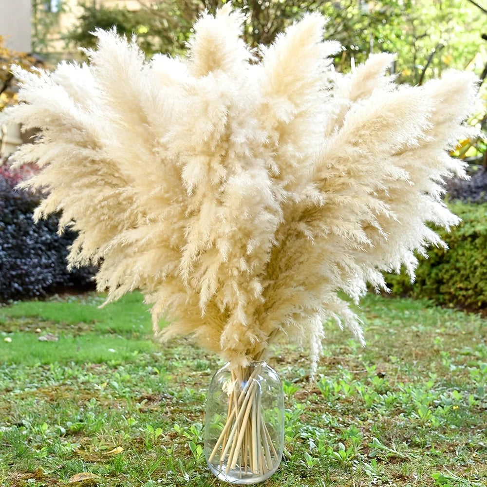 Dried Pampas Grass Bouquet 16 Pieces Boho Neutral Home Decor