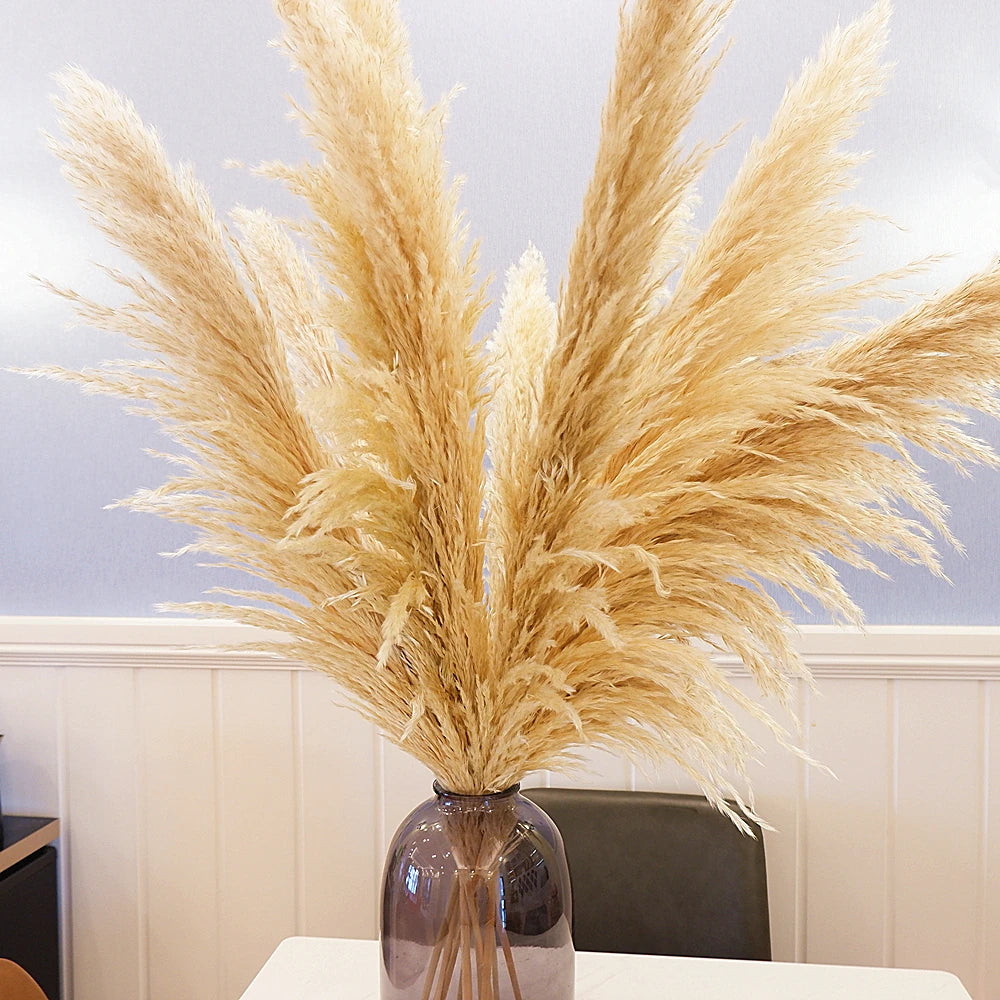 Dried Pampas Grass Bouquet 16 Pieces Boho Neutral Home Decor